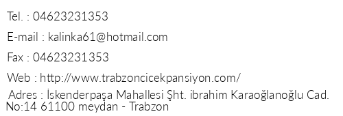 Trabzon Central Meydan iek Hotel Ve Pansiyon telefon numaralar, faks, e-mail, posta adresi ve iletiim bilgileri